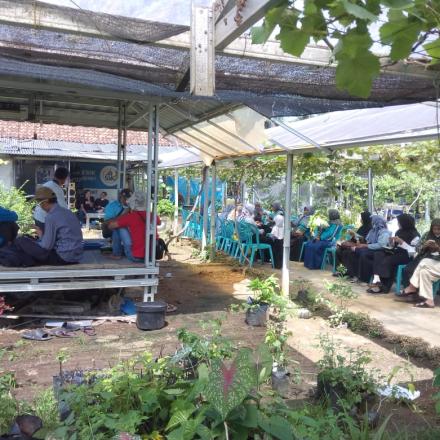 Kegiatan Pelatihan Tanaman Anggur